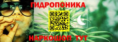 spice Волгодонск